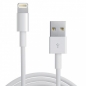 Preview: iPhone 5 5s iPhone 6 6s Plus iPhone 7 iPod USB Daten Ladekabel Datenkabel